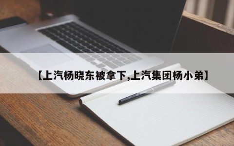 【上汽杨晓东被拿下,上汽集团杨小弟】